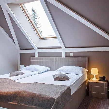 Otel Complex Hotelier Cota O Mie 3*